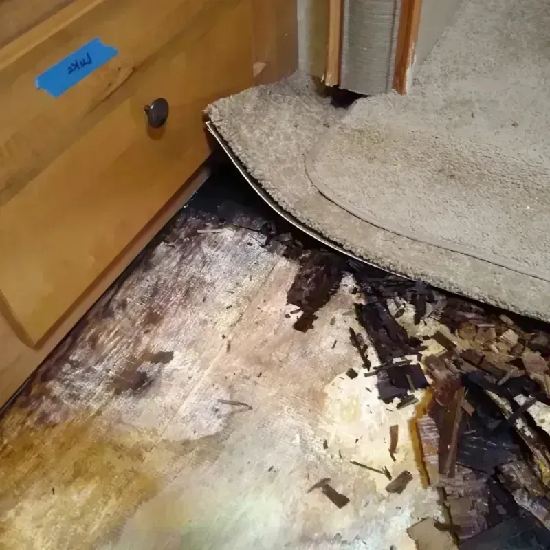 Wood Floor Water Damage in Hampton, MD